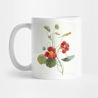 Tropaeolum majus (Garden Nasturtium) by Pierre-Joseph Redoute Mug